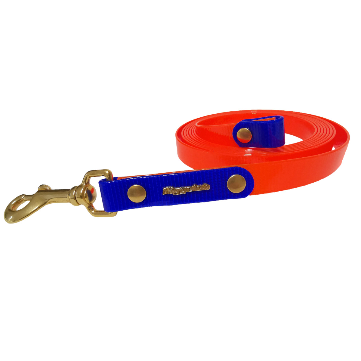 Laisse à pister &amp; de formation Bio..